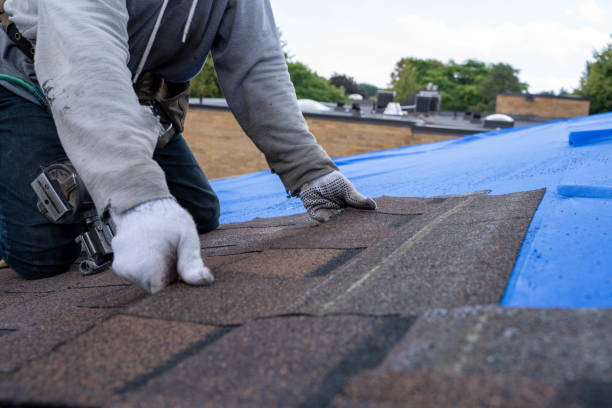Best Roof Leak Repair  in Thornville, OH